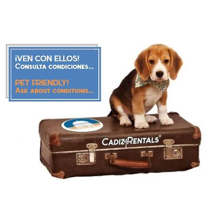 La Herencia Del Regidor By Cadiz4Rentals מראה חיצוני תמונה